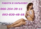 индивидуалка Работа в Харькове! из города Сумы